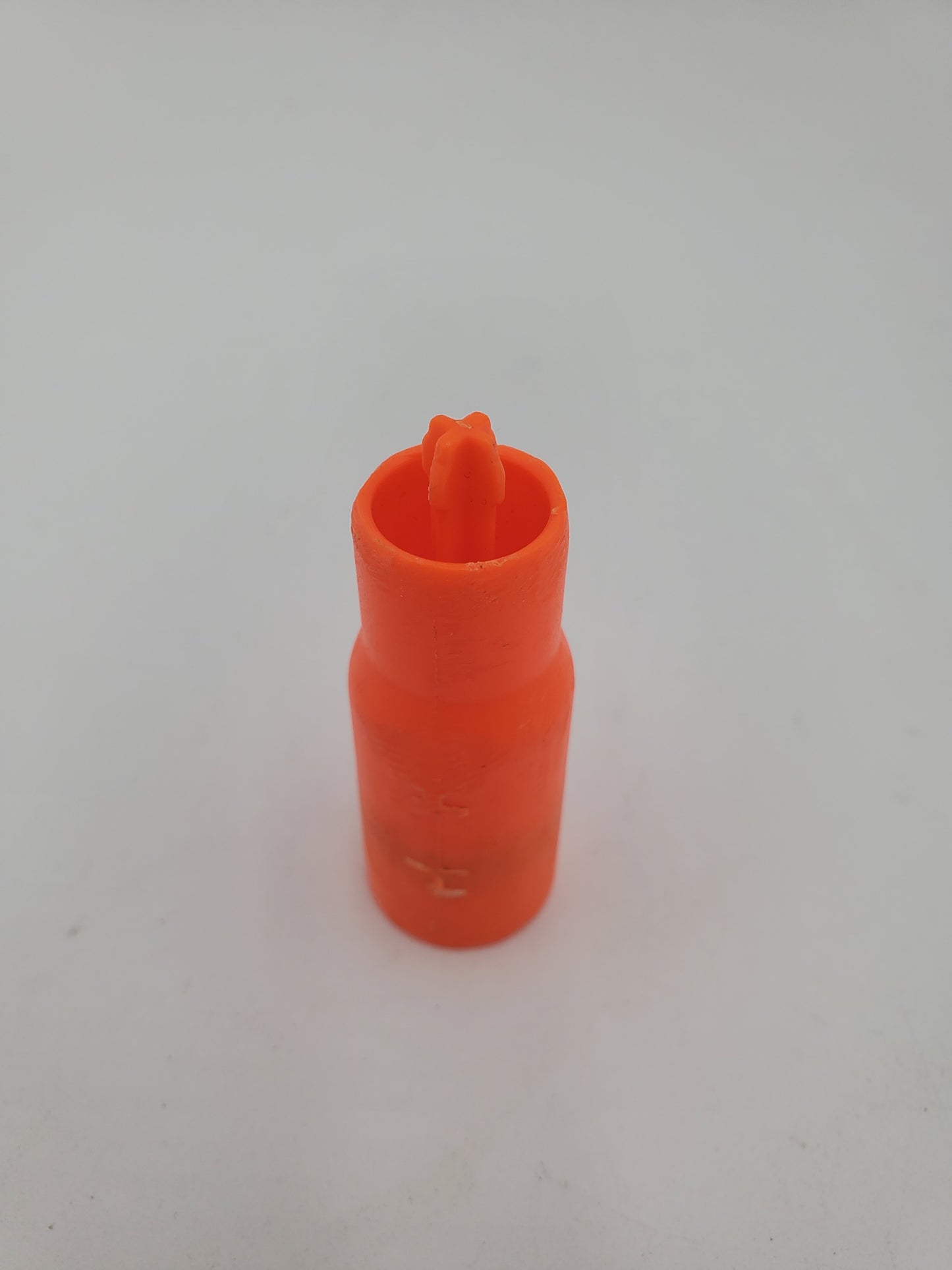 Buzz Bee Shells